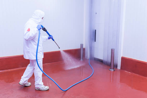 Boat and Dock Cleaning in Boynton Beach, FL